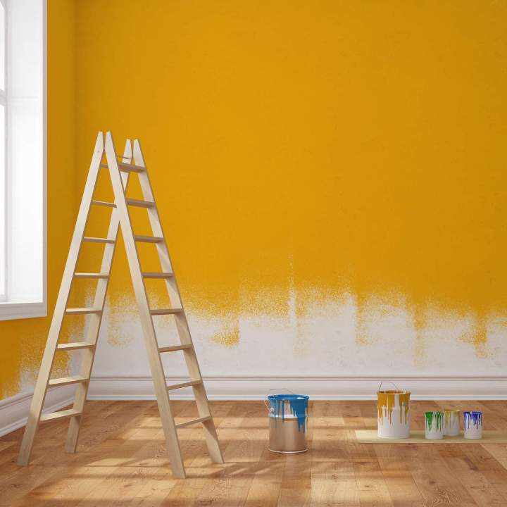 Rénovation et peinture Mont-Dore